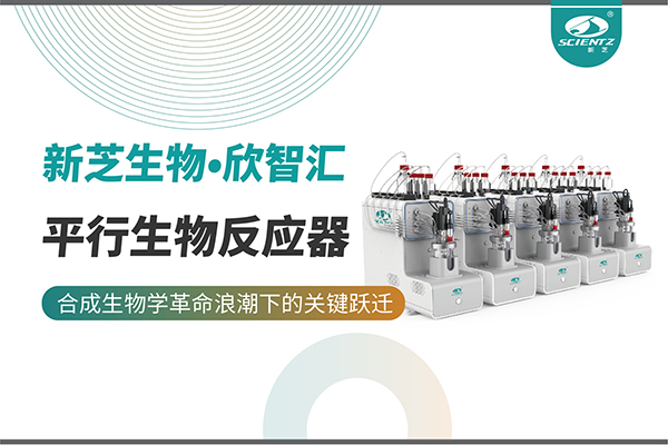培养菌株和评估工艺参数影响太难太慢？平行生物反应器提供关键解决方案！