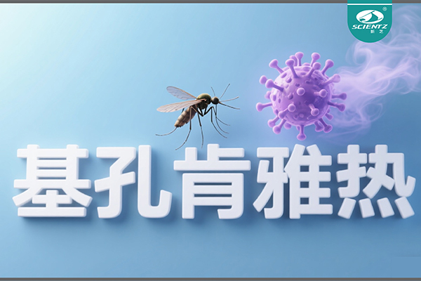 基孔肯雅热疫情升级！新芝生物硬核技术助力病毒精准诊断