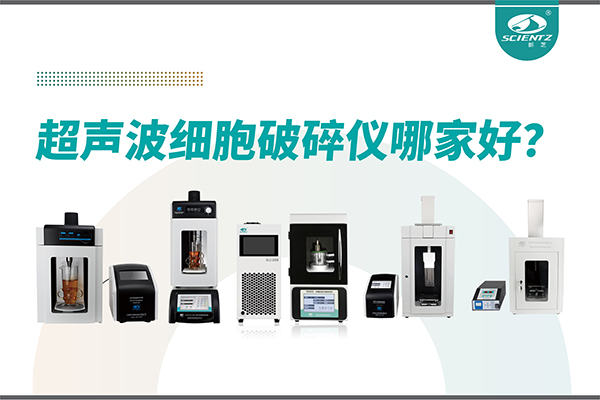 超声波破碎仪厂家推荐：深耕本土，服务全球-宁波新芝生物