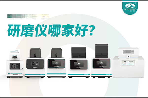研磨仪哪家好？宁波新芝生物研磨仪厂家专注样品处理
