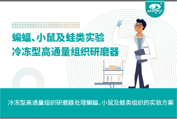 冷冻型高通量组织研磨器处理蝙蝠、小鼠及蛙类组织的实验方案