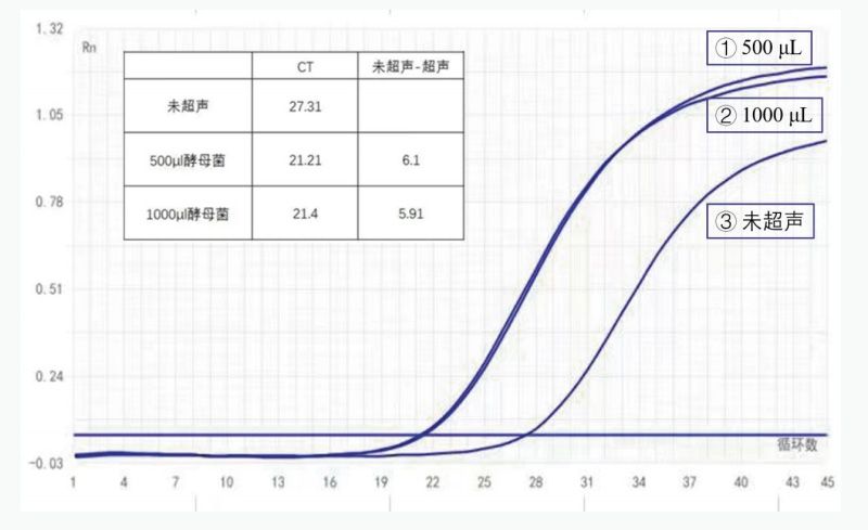 酵母菌样本超声破碎后前后扩增循环数对比