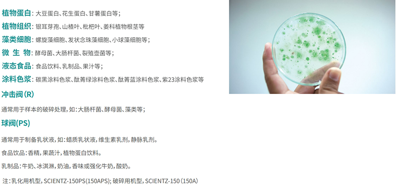 样本举例
