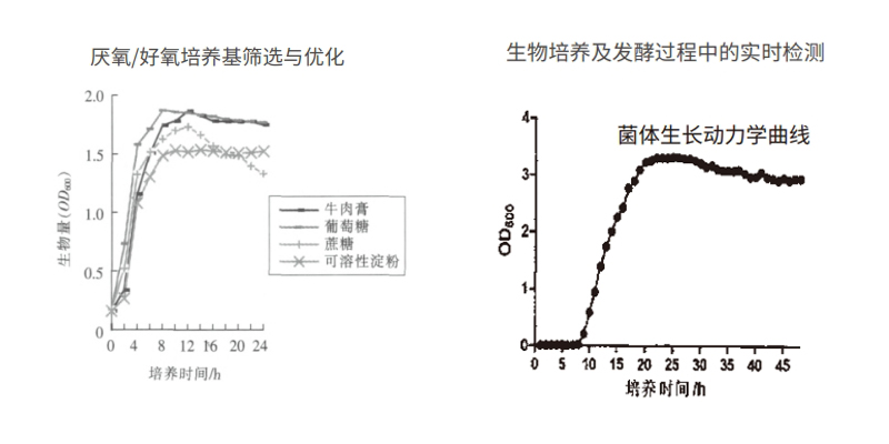 过程安全，结果精准