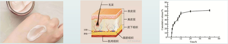 药物体外透皮释放试验过程