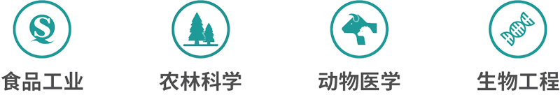 应用领域