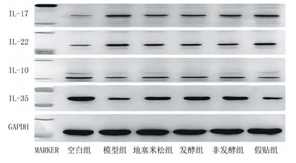 实验结果