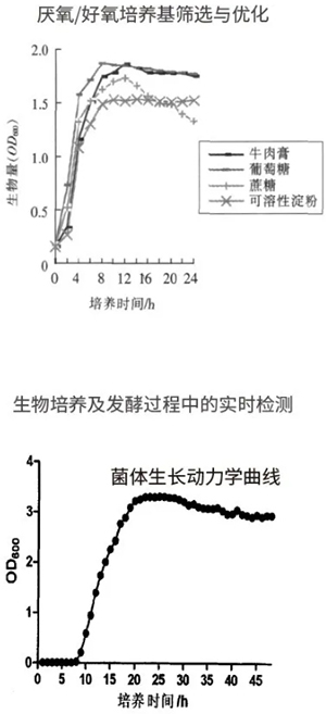 过程安全，结果精准
