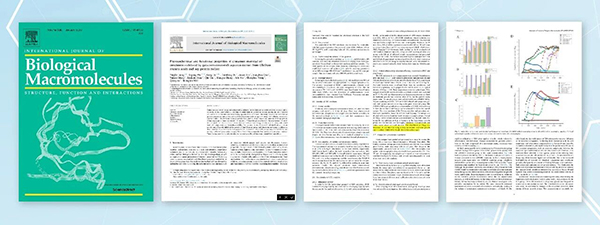 微信图片_20251231112227