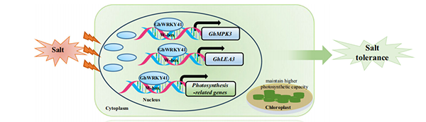 微信图片_2026-01-22_133700_172